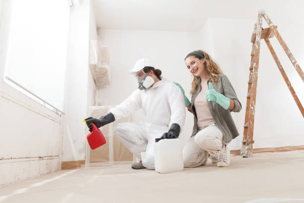 Trusted Saddle River, NJ Mold Inspection, Removal & Remediation Experts